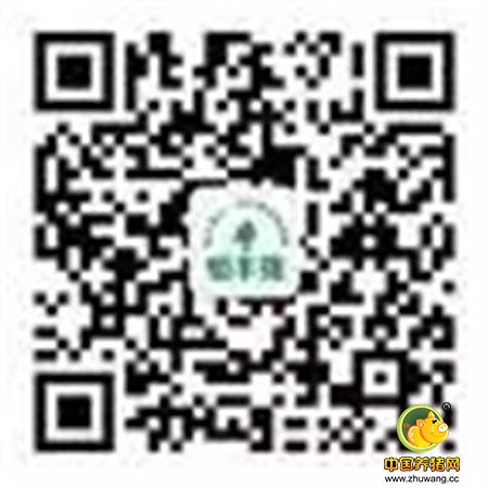 闹元宵|猜灯谜,赢电影票