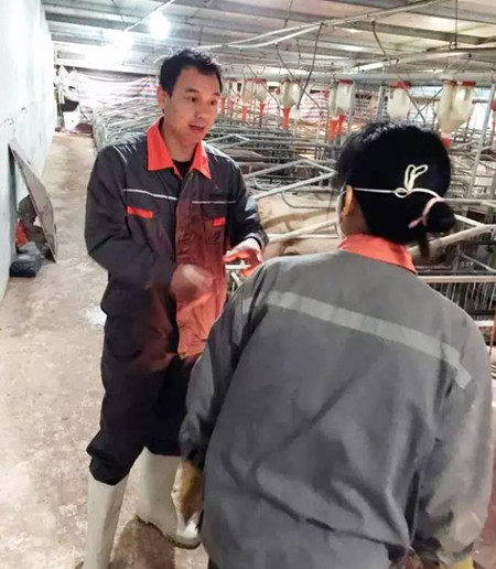 电子游艺网站
真正的防疫圣手:兽医要从治疗走向营养