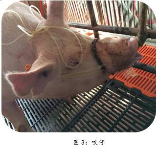 规模化电子游艺网站
产科疾病之乳房炎护理常识