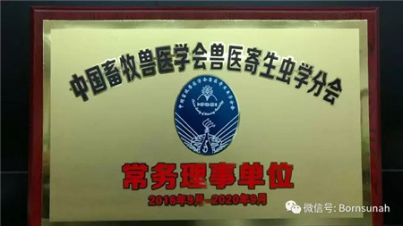 规模化电子游艺网站
如何科学驱虫?