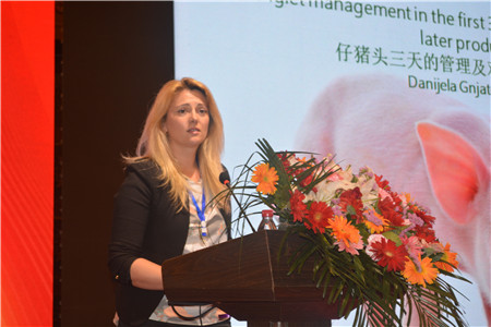 汇聚行业精英,共创猪业发展——远征集团生猪营养与管理学术论坛圆满举行