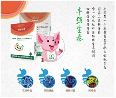 预防仔猪腹泻,丰强生泰帮助您