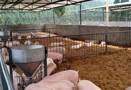 家喻户晓的发酵床,竟然制作这么简单!