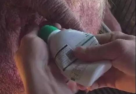 母猪产仔数低、返情率高找不到原因的,请看这里