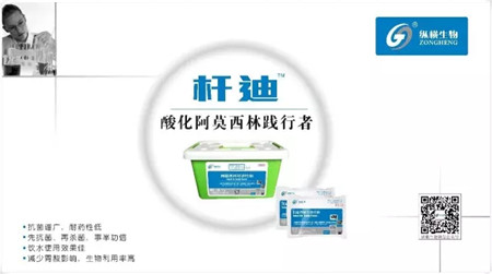 纵横生物高效粉剂系列┃杆迪—酸化阿莫西林践行者