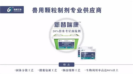 新替喘康的药理和应用