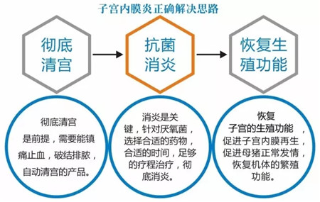宫炎清——专注于分娩母猪清宫排淤