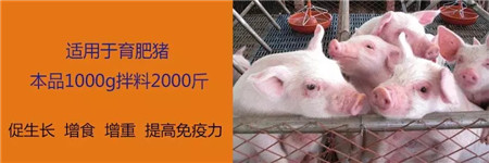促生长、增食、增重、提高免疫力——加乐壮(0.2%育肥猪维生素预混合饲料)
