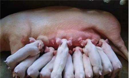 纵横产品电子游艺网站
用药方案