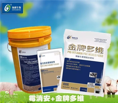 纵横产品电子游艺网站
用药方案