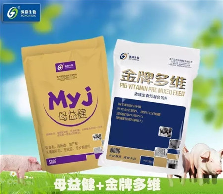 纵横产品电子游艺网站
用药方案