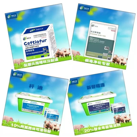 纵横产品电子游艺网站
用药方案