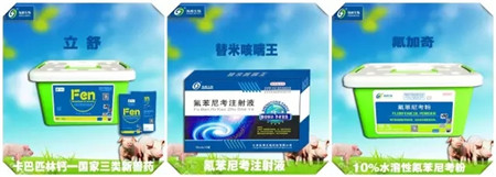 纵横产品电子游艺网站
用药方案