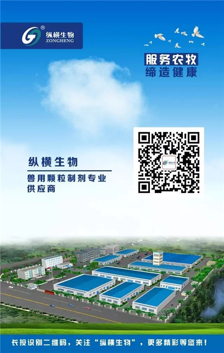 纵横产品电子游艺网站
用药方案