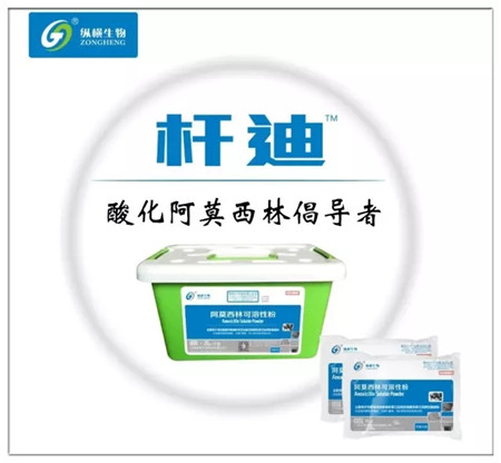 杆迪——酸化阿莫西林倡导者