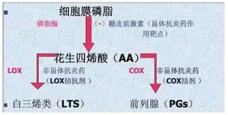 纵横核心颗粒制剂:熱炎欣(氟尼辛葡甲胺颗粒)