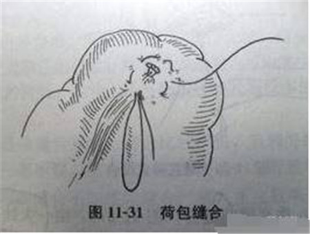 猪脱肛,手术还原后再打这两种药,效果谁用谁知道