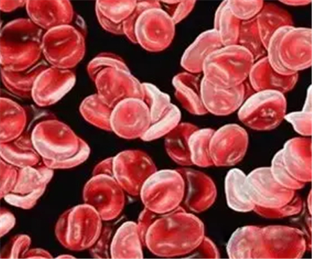 夏天猪病混合感染,该如何防控?