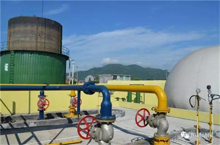 程序教授:必须彻底摒弃将畜禽粪便看作是“污染物“的观念