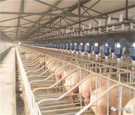 促生长用抗菌药物将退出?农业部五问五答