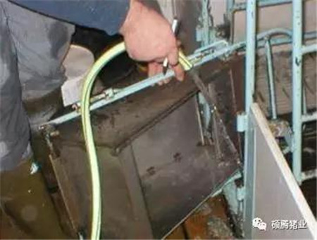 伏天来袭,产房母猪消暑纳凉四大管理要点又双叒叕来了!