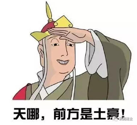 排污数据24小时连接环保局,浙江出绝招管电子游艺网站
;买猪不成生怨恨,用“硝卤”毒死21头猪获刑罚……