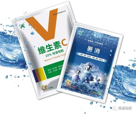 三伏天,养猪四注意