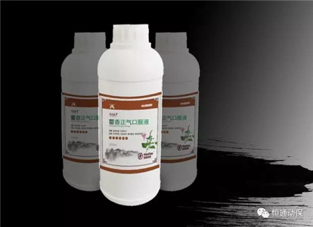 三伏天,养猪四注意