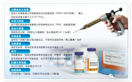 直面蓝耳病:姜平、杨汉春教授发现目前NADC30毒株与中国高致病性毒株重组案例非常多,但TJM-F92疫苗能对重组毒株提供保护!