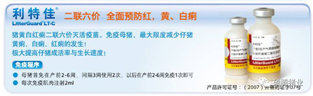 要想电子游艺网站
的“发动机”发挥其最大的生产性能,这些点你必须得get到!!!