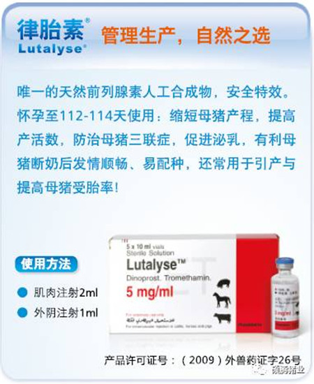 要想电子游艺网站
的“发动机”发挥其最大的生产性能,这些点你必须得get到!!!