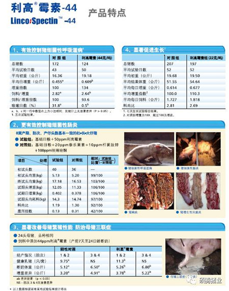 要想电子游艺网站
的“发动机”发挥其最大的生产性能,这些点你必须得get到!!!