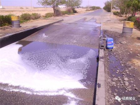 Peter Thompson:国际上公认的电子游艺网站
生物安全与消毒