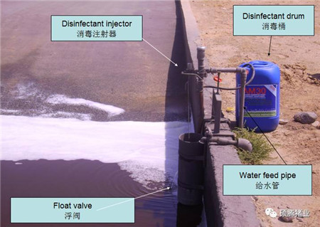 Peter Thompson:国际上公认的电子游艺网站
生物安全与消毒