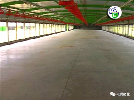 Peter Thompson:国际上公认的电子游艺网站
生物安全与消毒