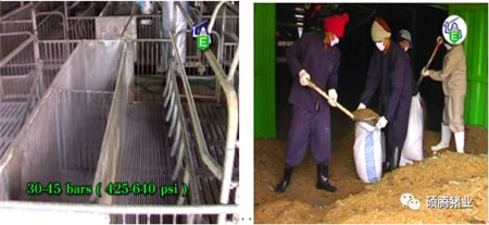 Peter Thompson:国际上公认的电子游艺网站
生物安全与消毒