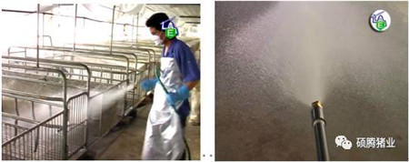 Peter Thompson:国际上公认的电子游艺网站
生物安全与消毒