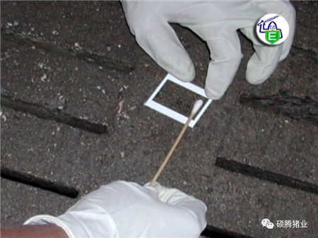 Peter Thompson:国际上公认的电子游艺网站
生物安全与消毒