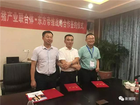 安徽生猪产业联合体 “疫苗定制”助推供需转型升级 ——安徽生猪产业联合体与东方帝维签订疫苗定制战略合作协议