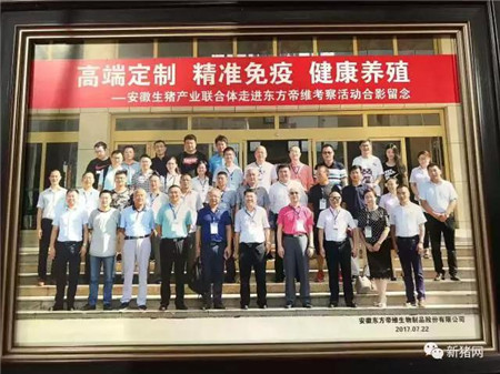 安徽生猪产业联合体 “疫苗定制”助推供需转型升级 ——安徽生猪产业联合体与东方帝维签订疫苗定制战略合作协议