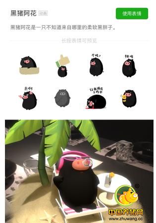 一头互联网黑猪的搞事营销:2017农产品营销方法论解读