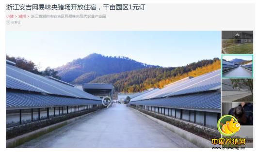 一头互联网黑猪的搞事营销:2017农产品营销方法论解读