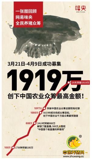 一头互联网黑猪的搞事营销:2017农产品营销方法论解读