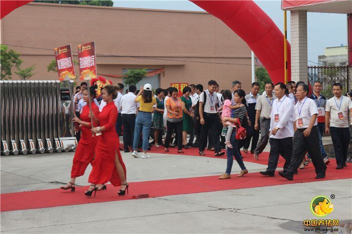 “转型、合作、发展”——茂名扬翔成立十周年!