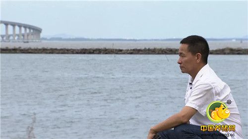 卖光家产!身背巨债!绝望中,他靠一种薄壳的小东西,年赚百万