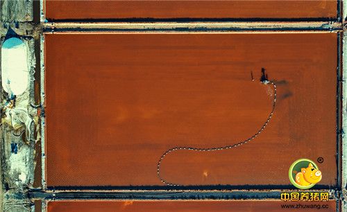 河北唐山海港大清河盐场秋扒工作正式展开!