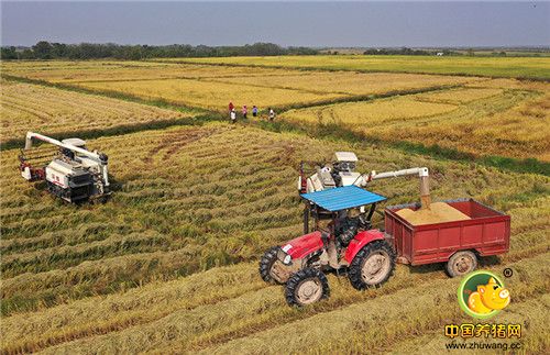 无人机带你“瞰”大江南北的丰收景象!