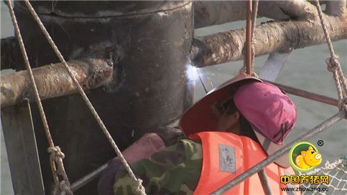 4年前,一场台风刮走他1500多万元;今年,他再次直面台风