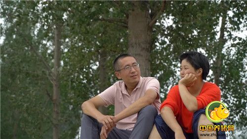 年轻媳妇接下两千万元债务,看她如何反转人生