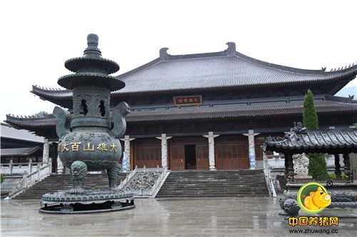 百丈论坛秋季分享会——寺庙风景,养鸽致富!